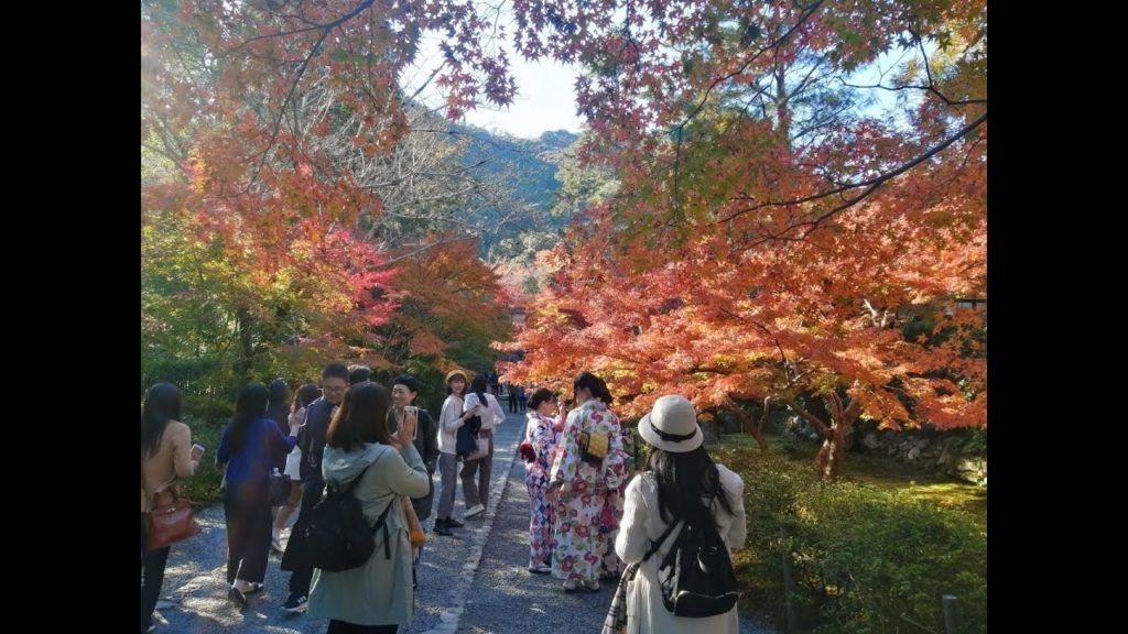 京都　嵐山　紅葉　二尊院　寺　観光　kyoto Arashiyama Sightseeing Visit Autumn leaves Temple Buddhism②