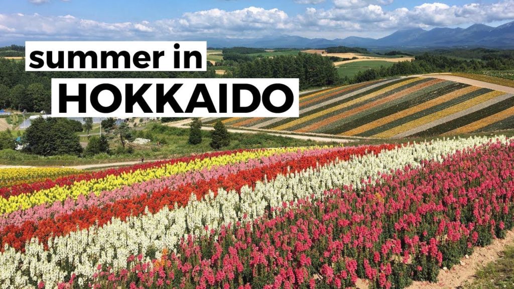 Summer in Hokkaido + Tokyo | Japan 2016