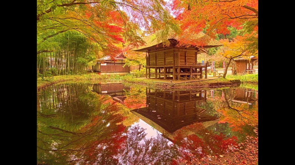 JG☆☆☆☆☆8K HDR 岩手 平泉中尊寺の紅葉(国宝,世界遺産) Iwate,Hiraizumi Chusonji in Autumn(World Heritage)