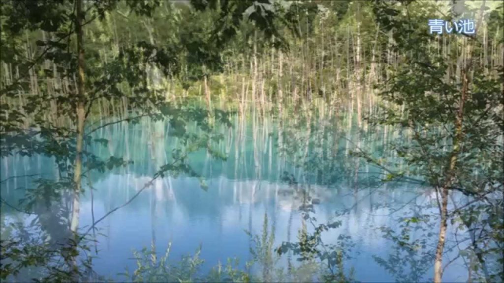 夏の富良野・美瑛