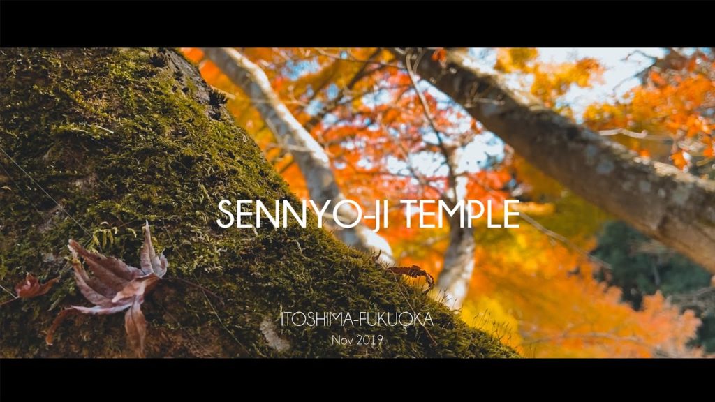 AUTUMN IN JAPAN - ITOSHIMA, FUKUOKA | Sennyo-ji Temple | IPHONE 11 Cinematic