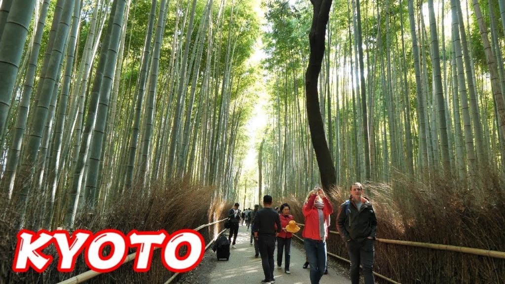 KYOTO ARASHIYAMA BAMBOO FOREST WITH CHERRY BLOSSOMS 2019 - 4K 60FPS HDR