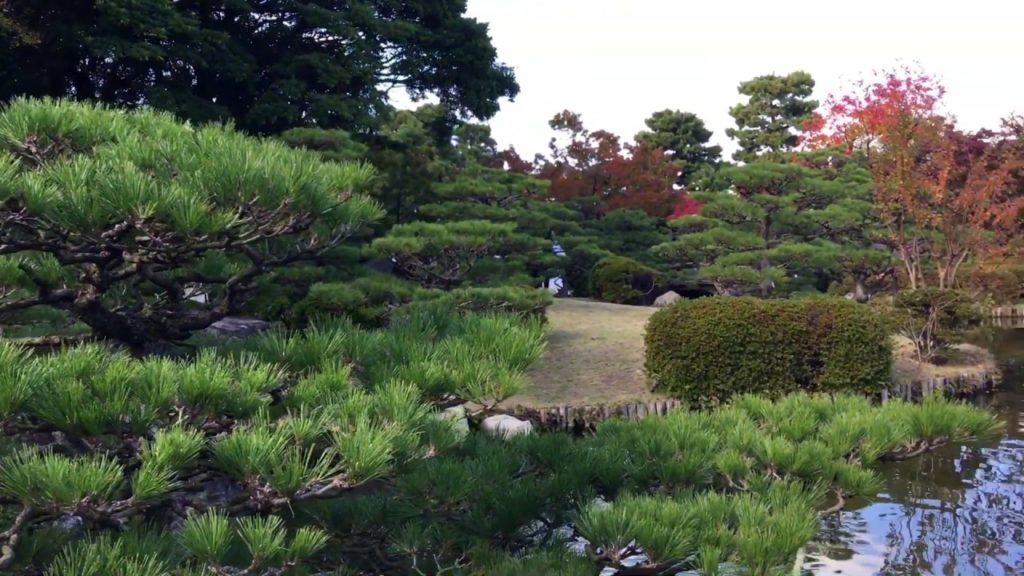Our walking tours of Fukuoka always includes the Japanese Gardens in Ohori Park.