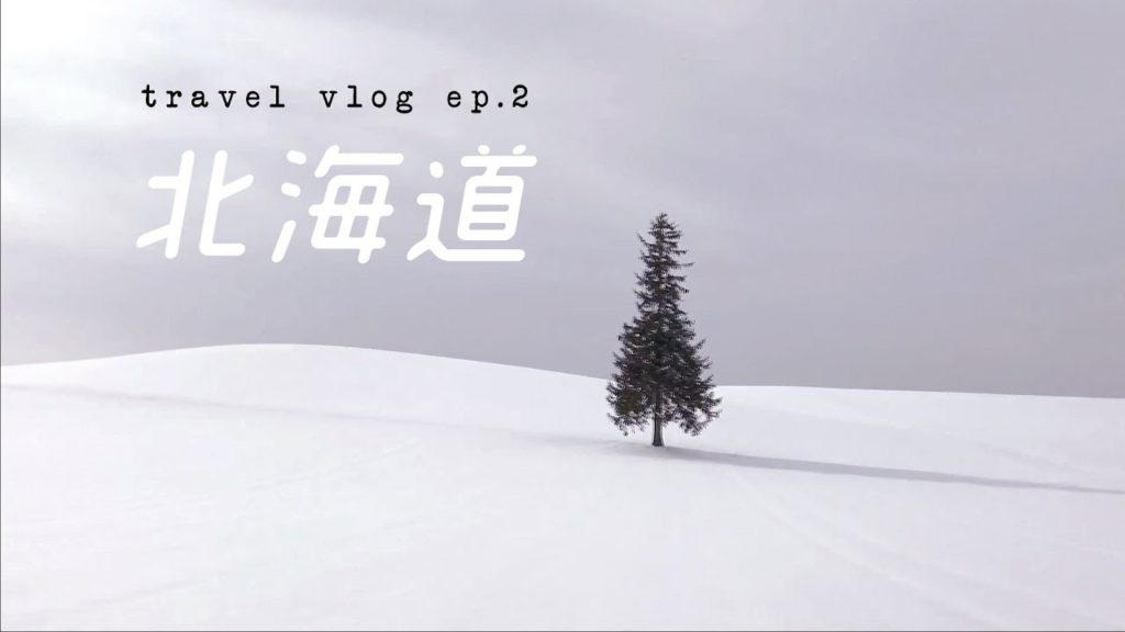 VLOG | ❄️비에이 투어하고 인생샷 찍은 홋카이도 겨울 여행 ep.2 (富良野＆美瑛町)
