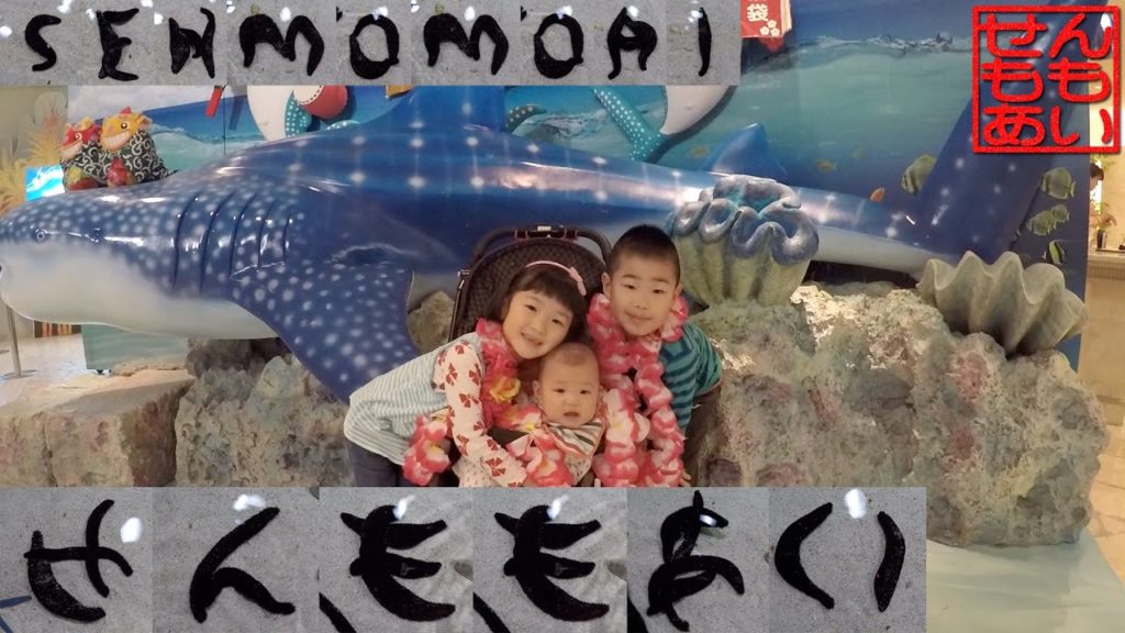 せんもも沖縄美ら海水族館に行く Okinawa Churaumi Aquarium