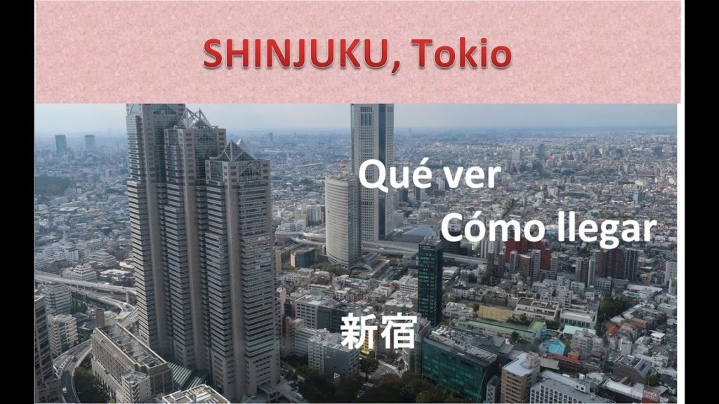 Shinjuku, Viaje a Tokio, Japón - Travel to Tokyo -