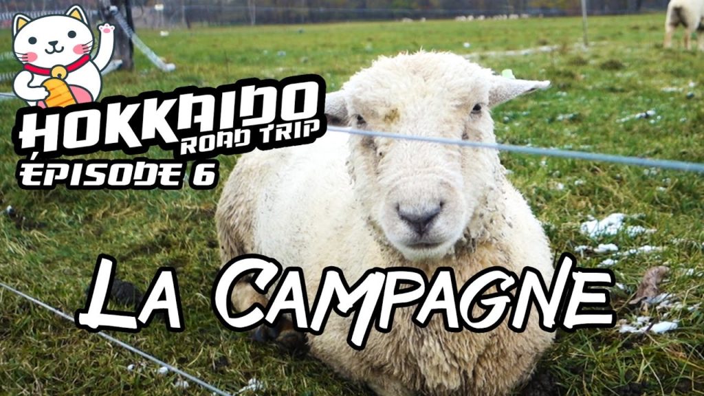 Fermes, Jigokudani et Shikotsu ! [ Hokkaido Road Trip #6 ]