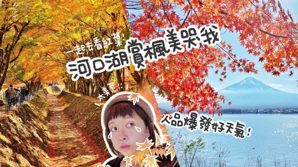 河口湖賞楓一日遊 富士山超清楚 紅葉美哭我｜紅葉迴廊｜搭乘「富士回遊」新宿出發1小時52分直達