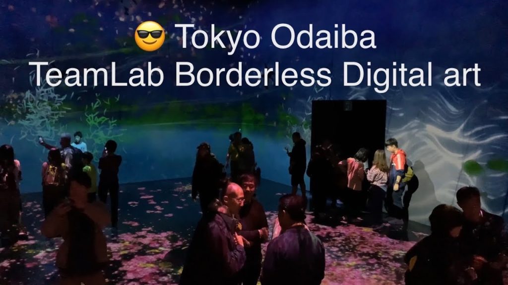 Tokyo Odaiba TeamLab Borderless Digital Art Museum