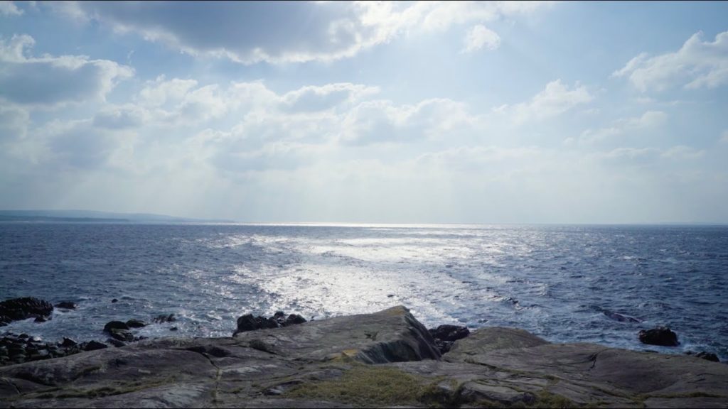 Timeless Japan,Tanegashima - Vol.3 Nakajima Shuichi