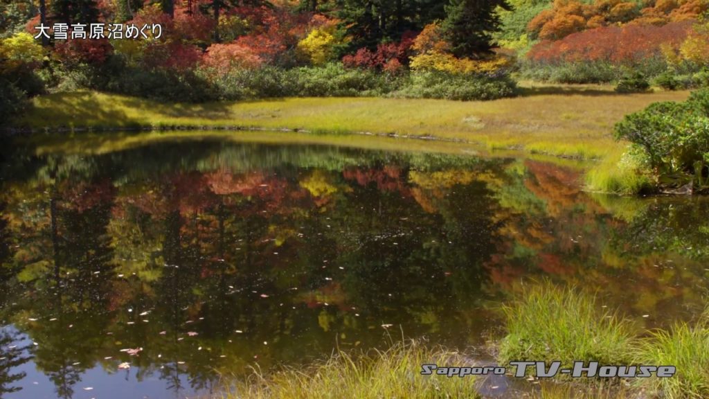大雪高原沼めぐり Around the Daisetsu tableland marsh 4K(UHD)