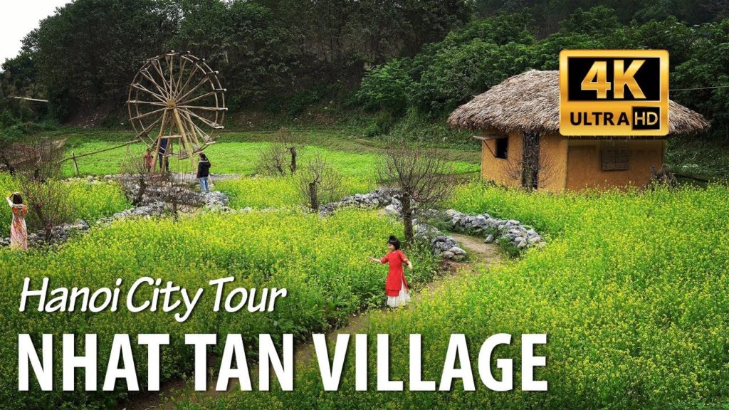 Nhat Tan Flower Village in Hanoi