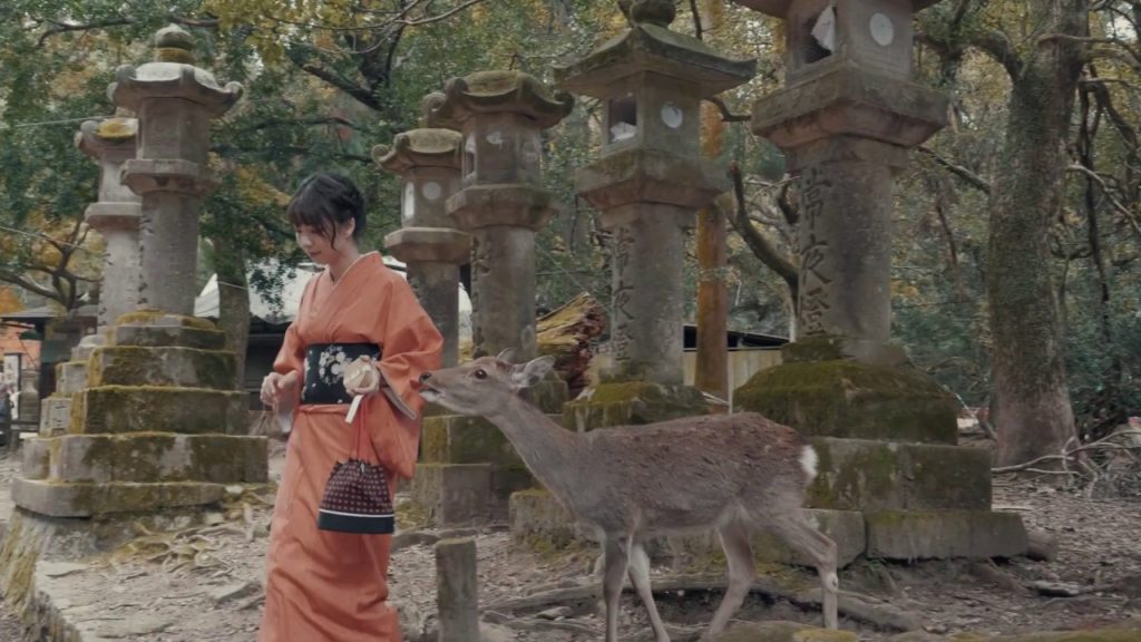 Travel Vlog / Japan / Nara / 奈良公园 春日大社 / GH5S