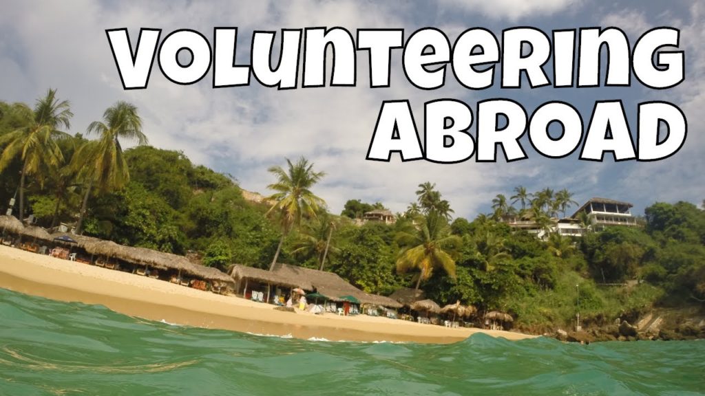 Volunteering Abroad! Travel for months in your dream spot  (WorkForAvocados #3)