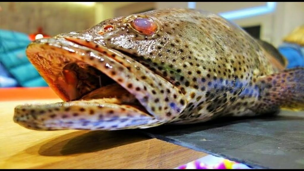 Fish(Grouper) Cutting On Sashimi And Sushi,Japanese Food ▶️ 2