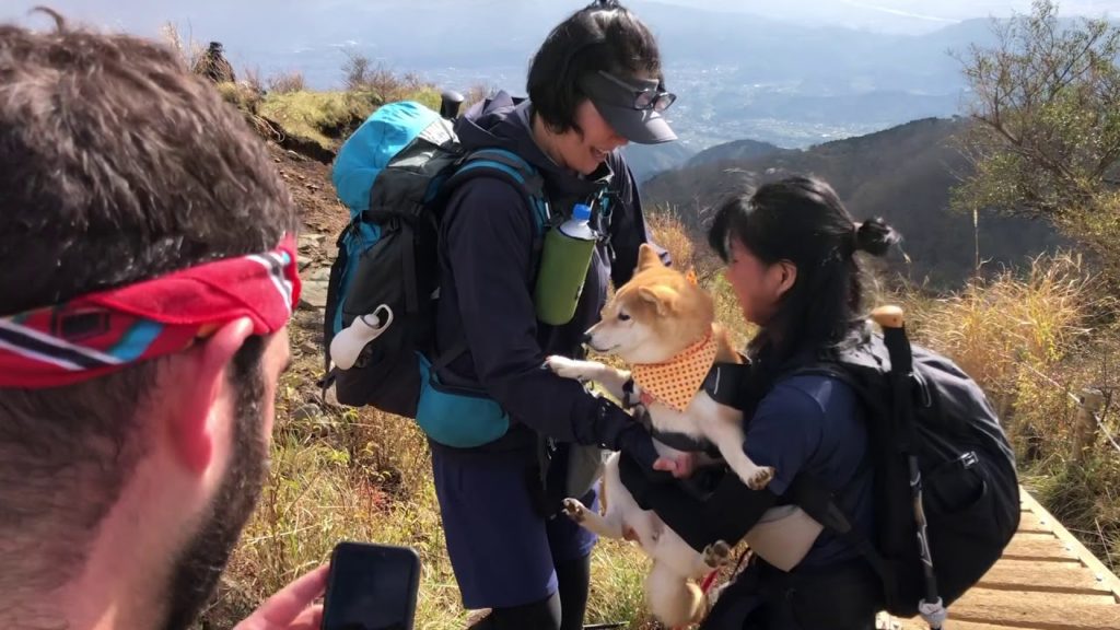 Day Trip to Mt. Tanzawa