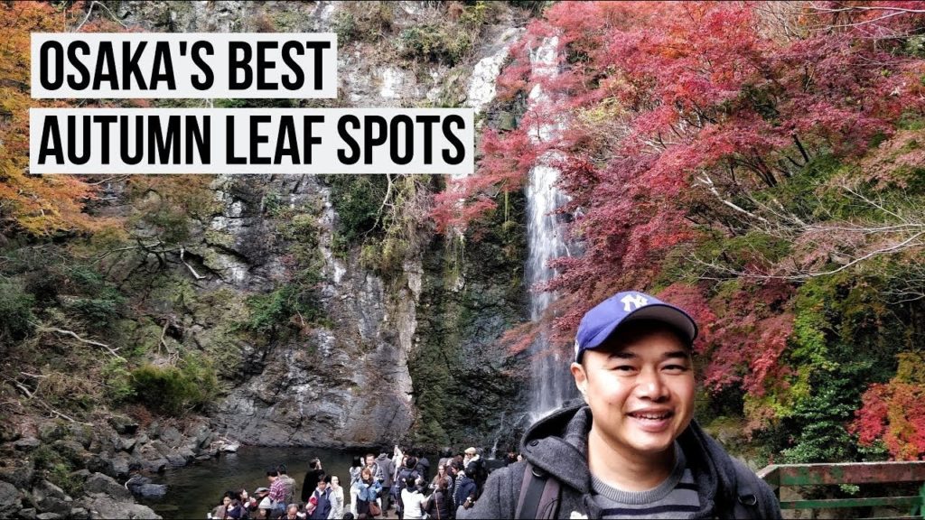 Best Autumn Leaf Spots In Osaka - Minoh Park (Minō/Minoo) and Kyuanji Temple