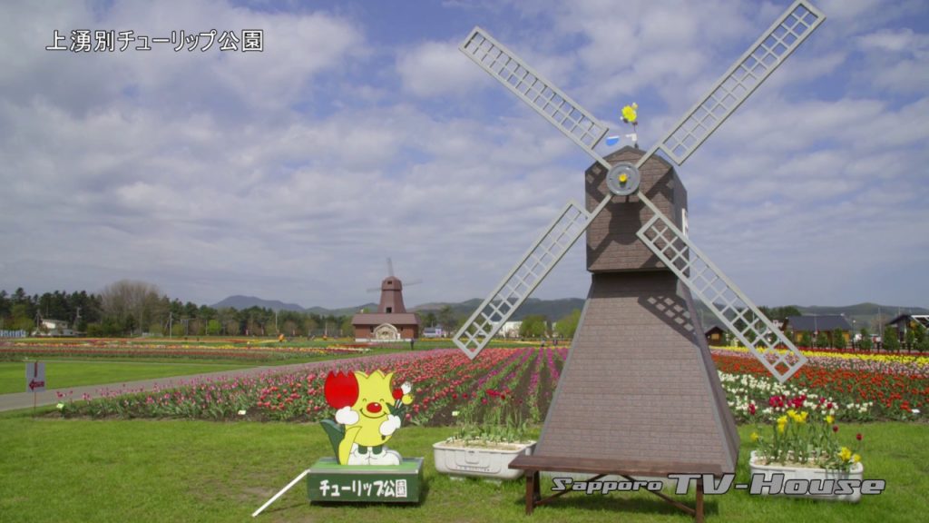 上湧別チューリップ公園 Kamiyubetsu Tulip Park 4K(UHD)