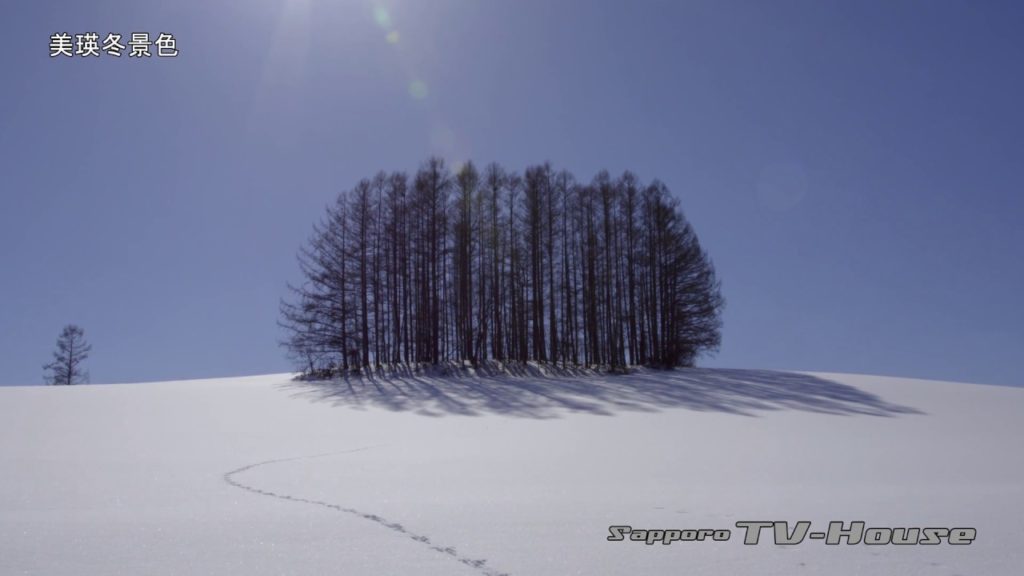 美瑛冬景色 Biei in winter 4K(UHD)