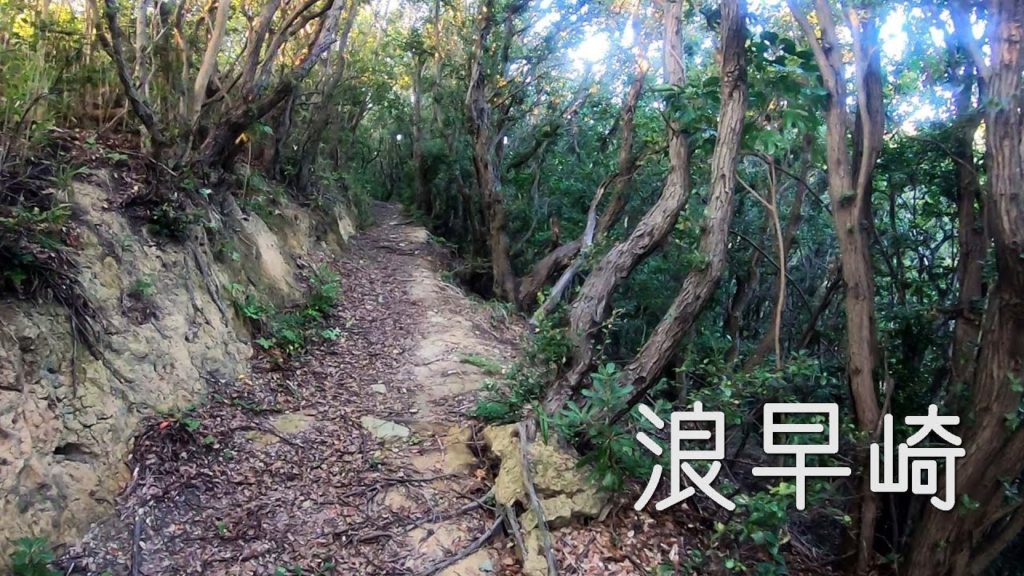 浪早崎~雑賀崎 山登り散歩 Travel Japan うろうろ和歌山