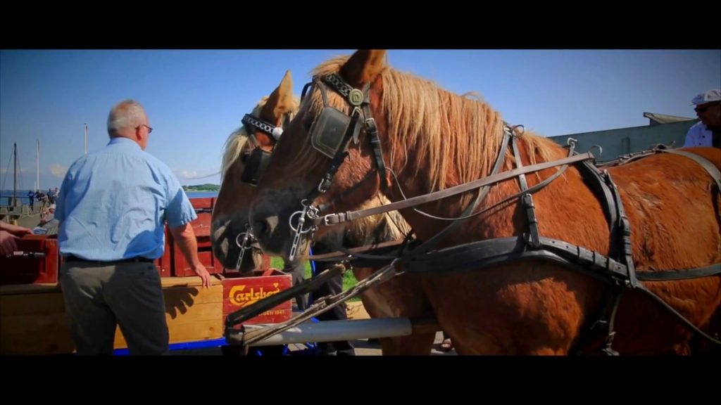 Roskilde Vikingstad Själland Sjælland Denmark  Danmark Danimarca Taani