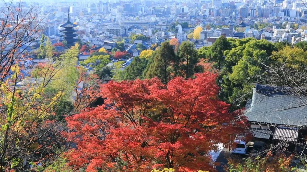 【Autumn Leaves】紅葉の京都(2019/11/23,24)