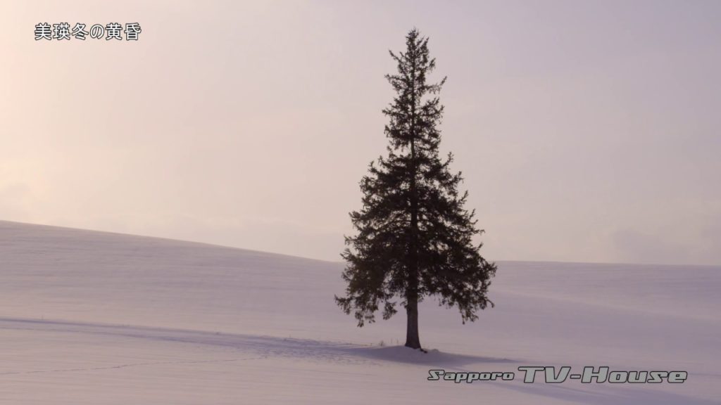 美瑛冬の黄昏 Biei winter twilight 4K(UHD)