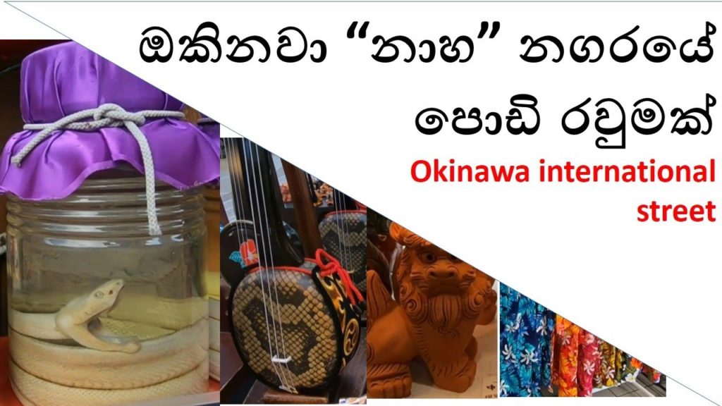 ඔකිනවා “නාහ” නගරයේ පොඩි රවුමක්- Okinawa international street