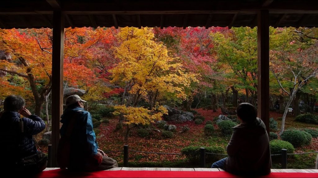 【4K】Kyoto Enkouji Temple  Autumn Leaves 2019 - 京都の紅葉 瑞巌山 圓光寺 | Japan walking guide