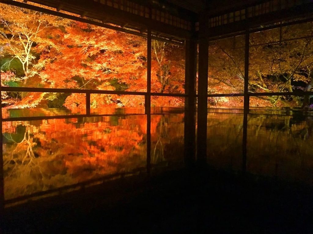 LIMITED TIME OPPORTUNITY TO VISIT RURIKOIN TEMPLE IN KYOTO
Normally not open to ...