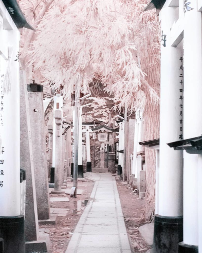 .
.
.
.
.
#kyoto #moodygrams #agameoftones #instagramjapan #urbanromantix
#rawu...