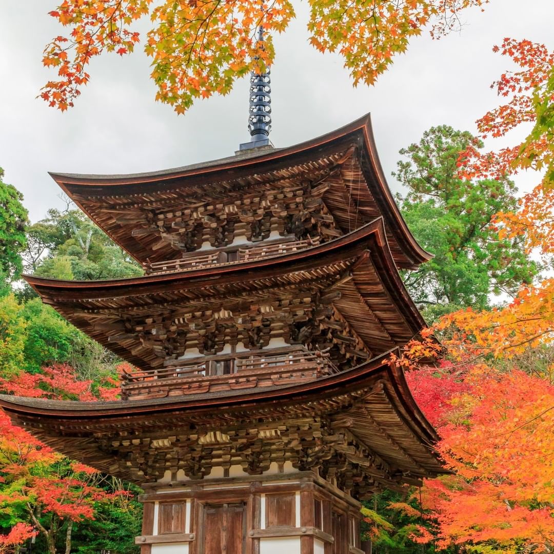 Японские св. Японский храм. Япония красивые храмы. Китайский храм. Японская стена.