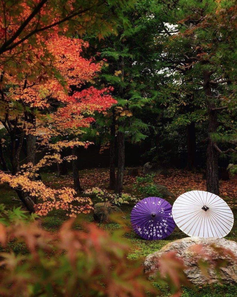 Simple, serene, and beautiful 
: @yayoi_colors
-----⁣⠀
#Kyoto, #Japan
.⁣⠀
.⁣⠀
.⁣...