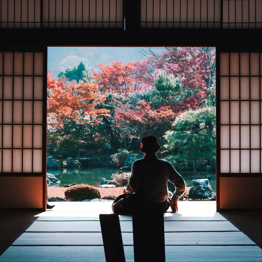 Visit Japan: Viewing the colours of the changing leaves is the ultimate autumn pastime in Jap… Viewing the colours of the changing leaves is the ultimate autumn pastime in Jap...