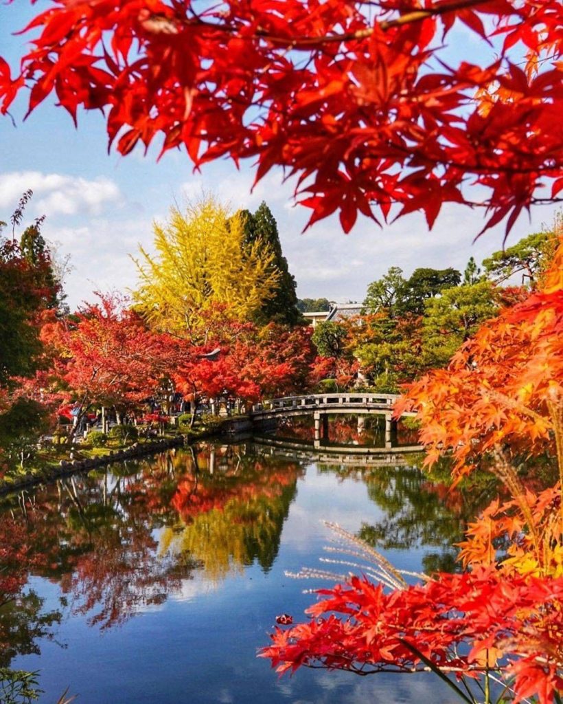 Team Spring  or Team Autumn ? The colors at Kyoto's Eikando Temple have us leani...