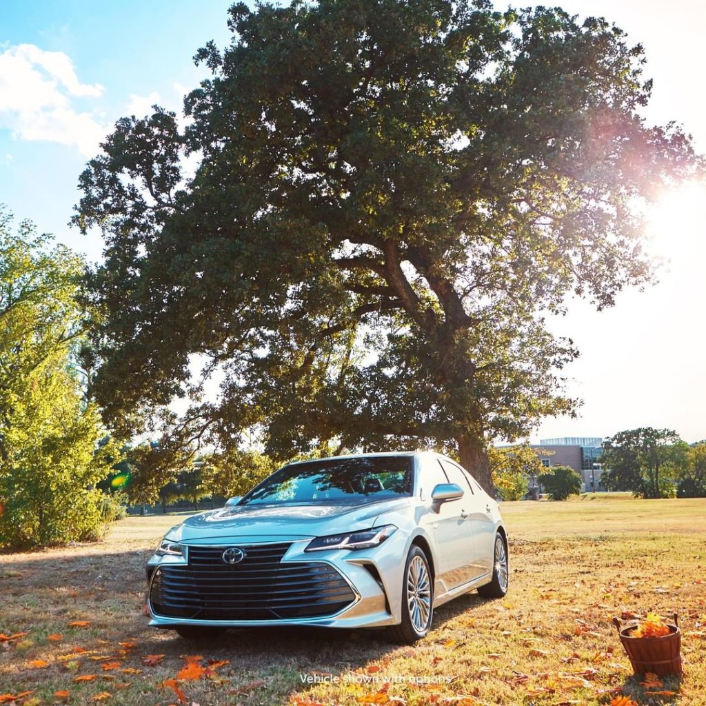 Fall never looked so good! #Avalon #Hybrid #LetsGoPlaces...
