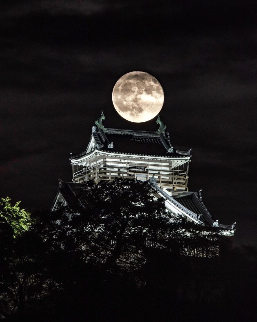 Naturally illuminated 
: @ailes_5pht
-----⁣⠀
Ono Castle, #Fukui Prefecture
.⁣⠀
....