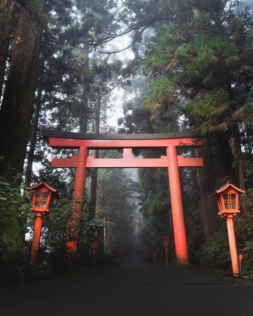 Reposted from @whilenotworking ...one misty morning in Hakone, Japan...
•
•
•
•
...
