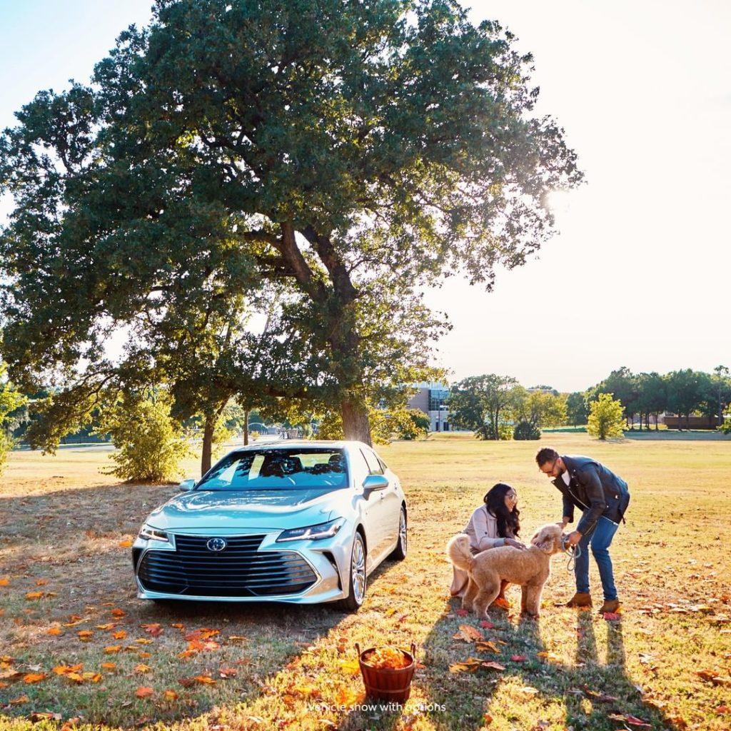 Be surrounded by a purposeful design #Avalon #Hybrid
#LetsGoPlaces...