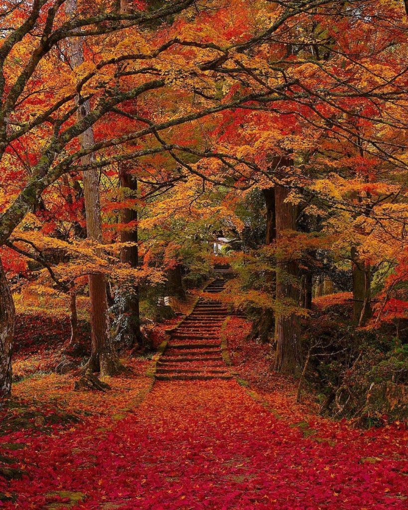 Is anyone else dreaming in reds, golds and oranges?!  This fiery landscape was c...