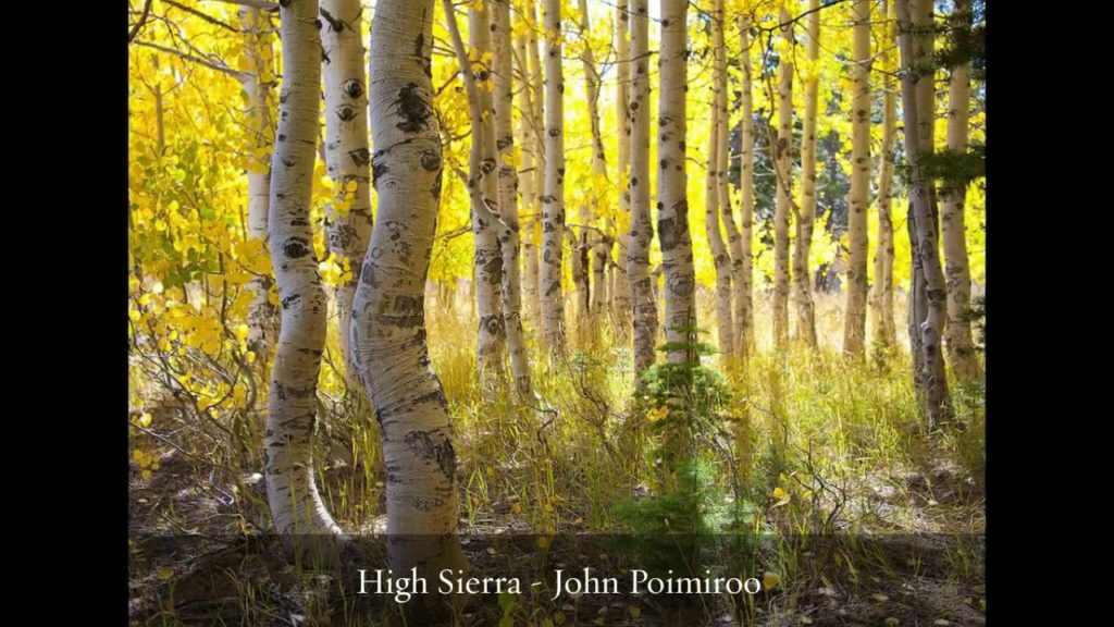 California Fall Color Looks Back at 2014