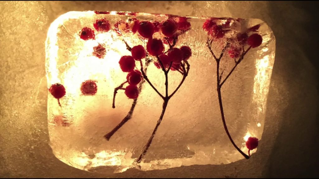 Winter Hokkaido trip in 3 minutes