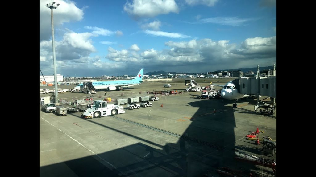 昏昏日本自由行。北九州福岡親子自由行DAY1/JR PASS兌換教學/福岡動物園