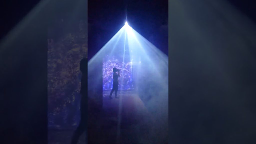 Scene from ‘Ocean by Naked’ in Yokohama (Part 4 of 4) [RAW VIDEO]