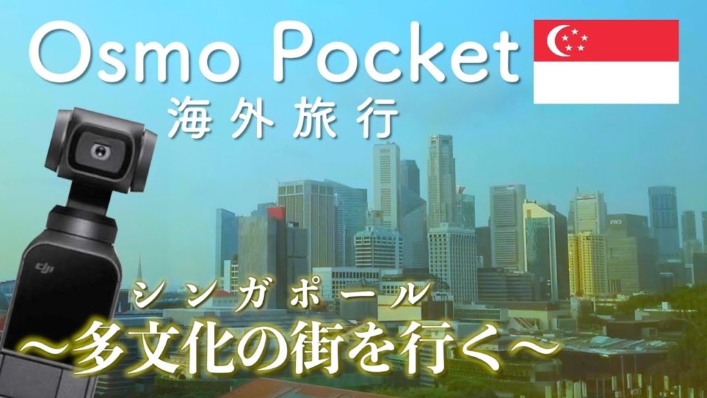 Osmo Pocketと海外旅行 | 多文化の街を行く| シンガポール Osmo Pocketと海外旅行 | 多文化の街を行く| シンガポール