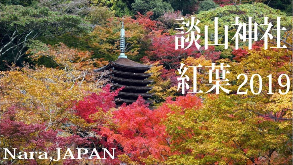 談山神社の紅葉2019 奈良紅葉名所【4K】