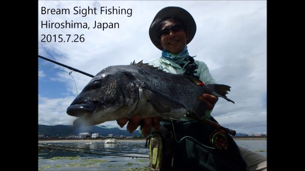 201507 Bream sight fishing in Japan