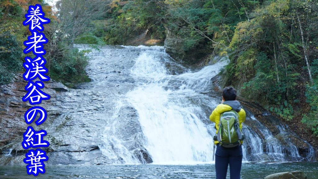Japan Travel Guide :Yoro-keikoku Valley Autumn Leaves #養老渓谷 #紅葉