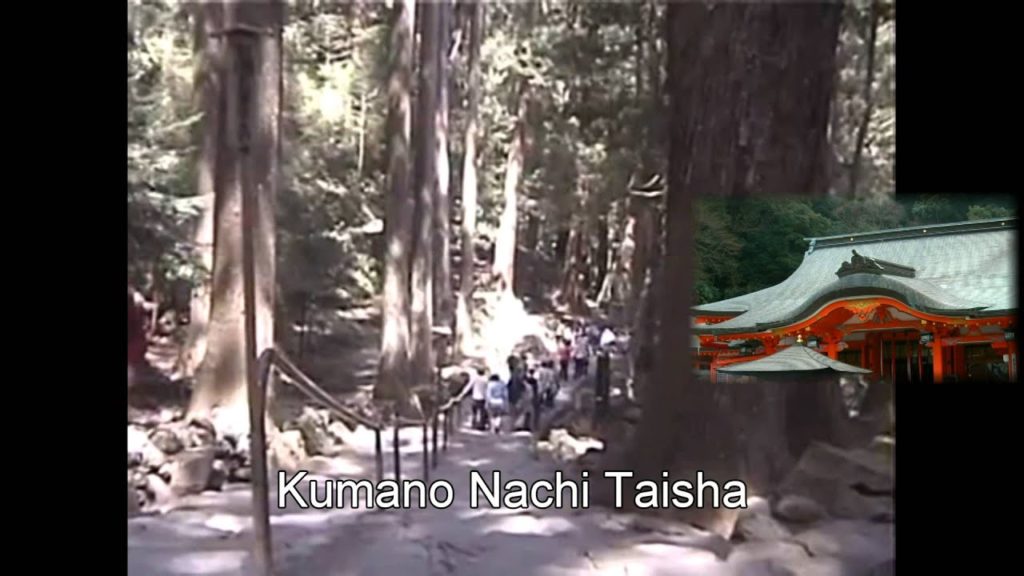 Japan Trip: The Tallest Waterfall in Japan!! at Nachi Taisha, Wakayama 18