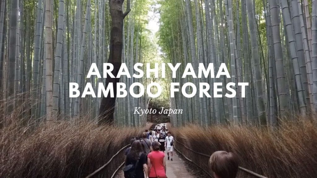 Arashiyama Bamboo Forest | Walk with me tour | Kyoto Japan